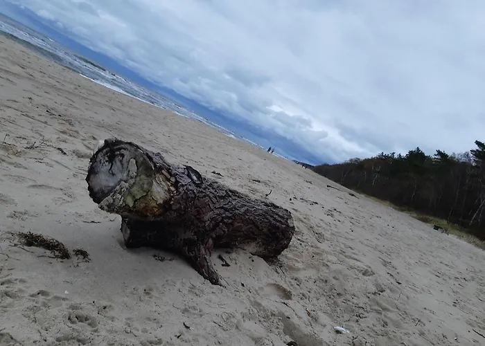 Platinum 2 * Lukecin