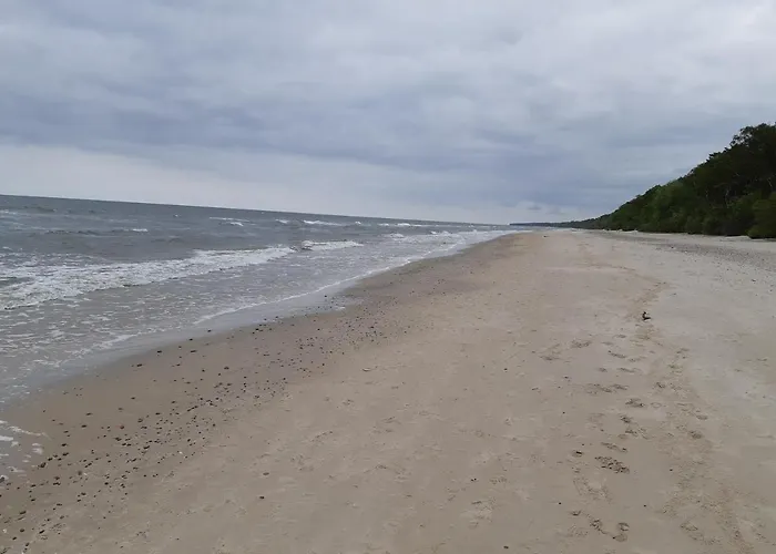 Platinum 2 * Lukecin