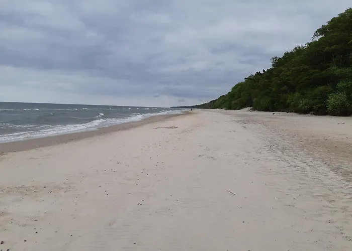 Platinum 2 Apartment *